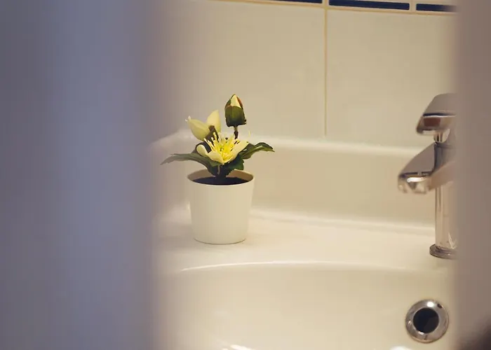 Διαμέρισμα Blue Coast Punta Mujeres